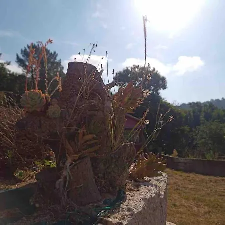 Holiday home Con Anexo Rustico